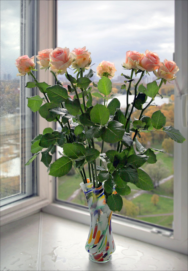 Цветы для дочки